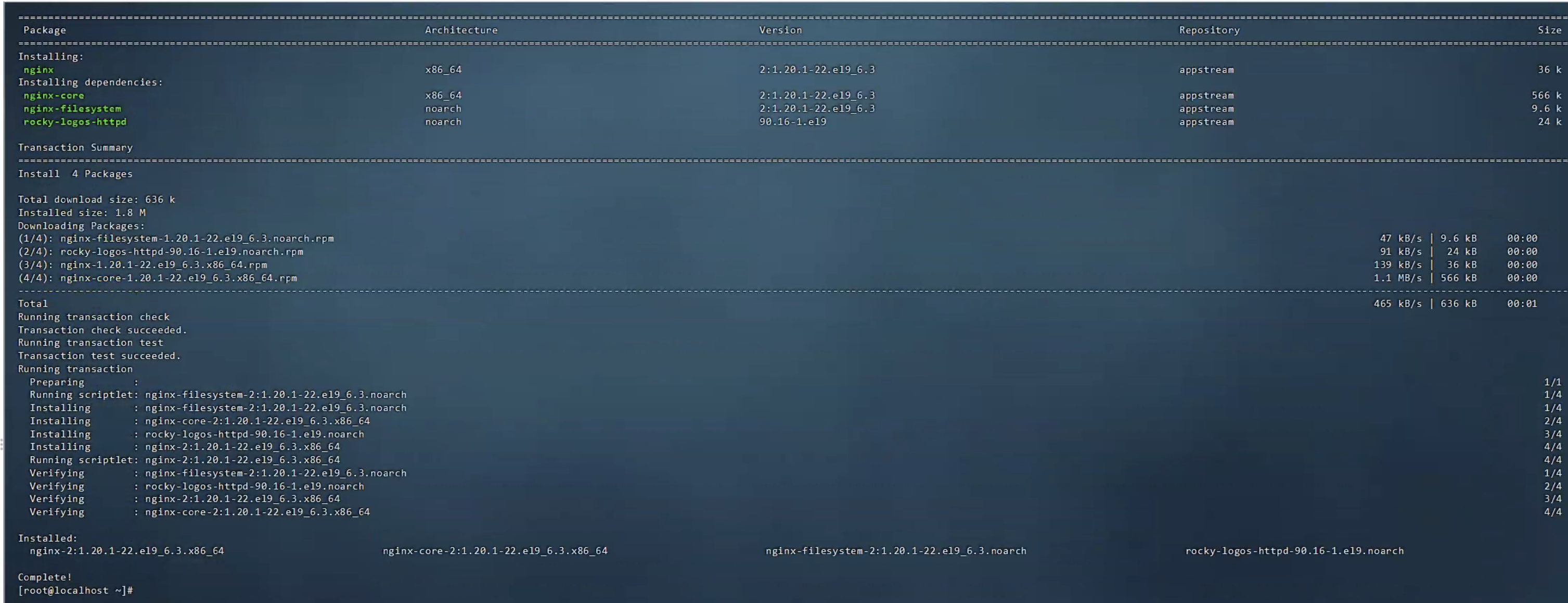 image-20251127163847328