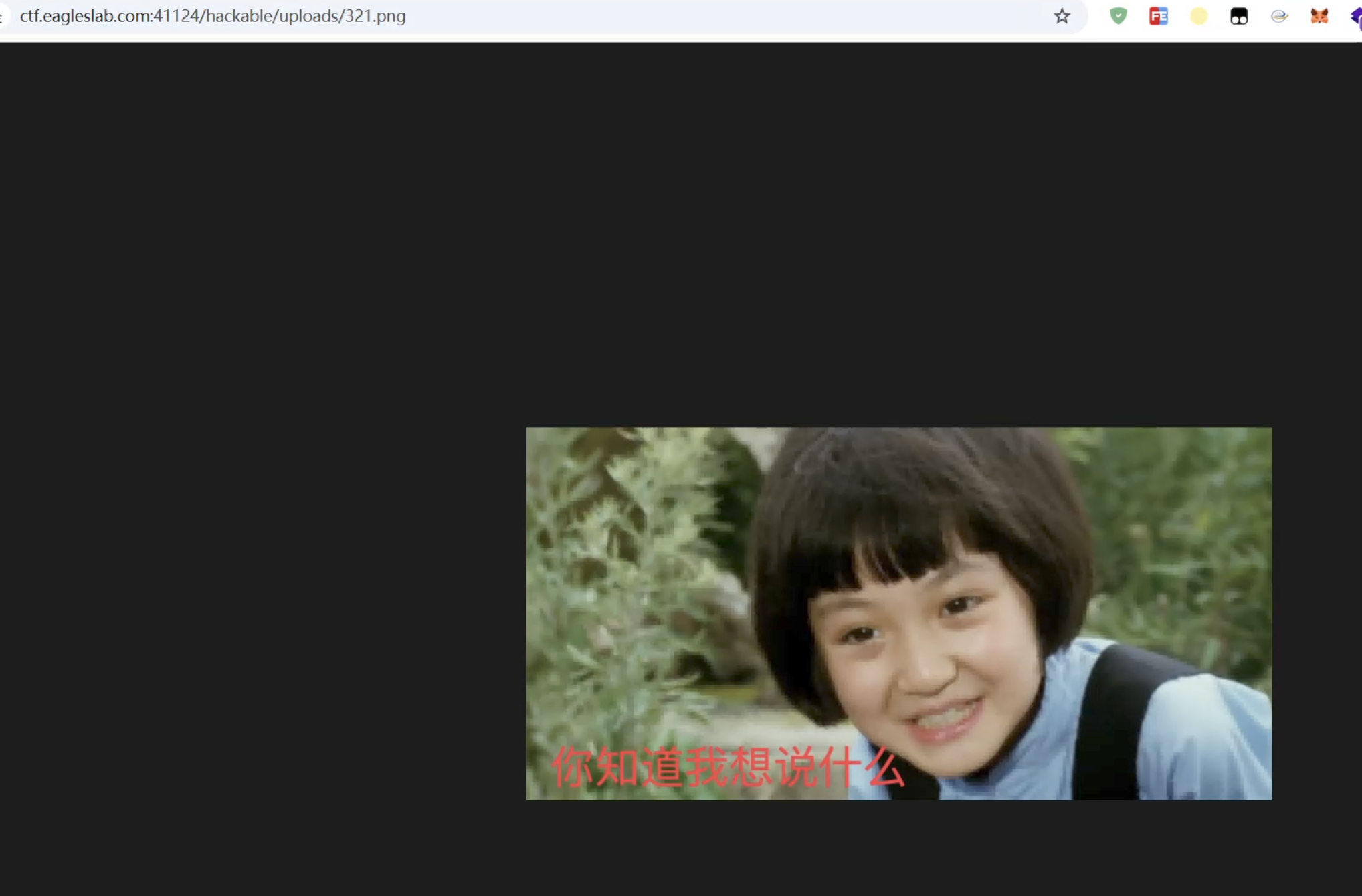 image-20260123142029508