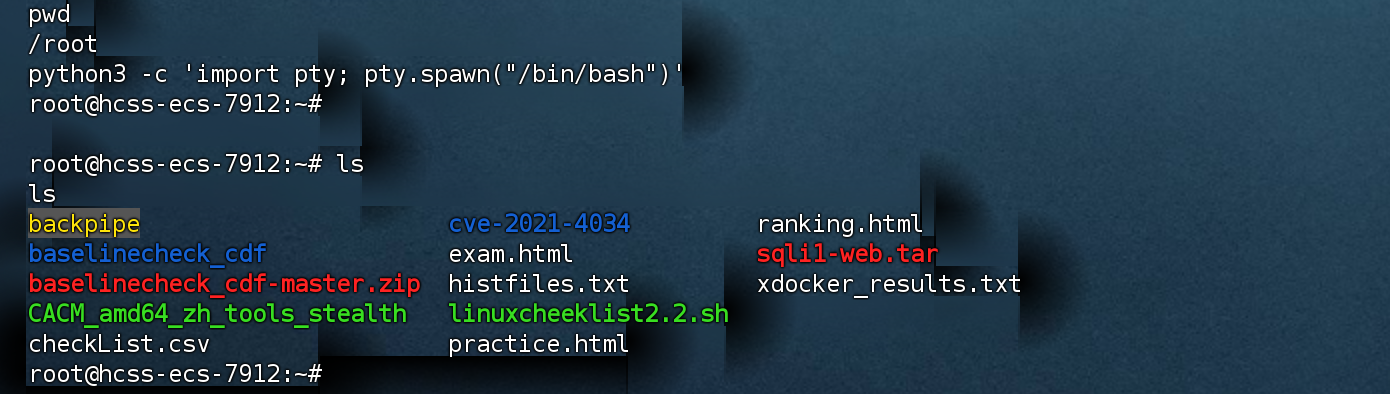 image-20260125205831139