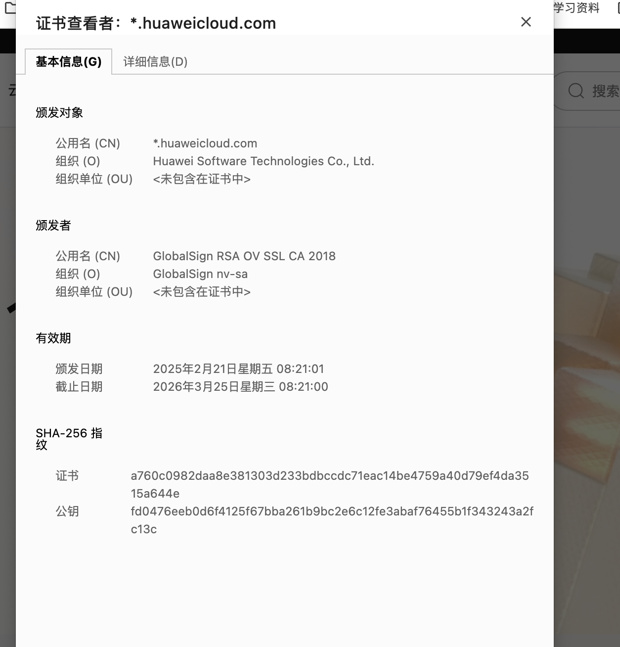 image-20251204153531716